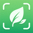 Plant Identifier App Logo