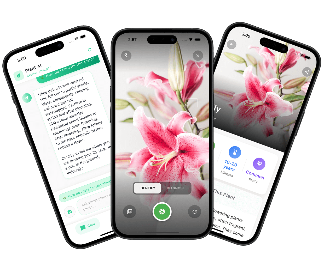 Plant Identifier app interface showing plant identification results and care information